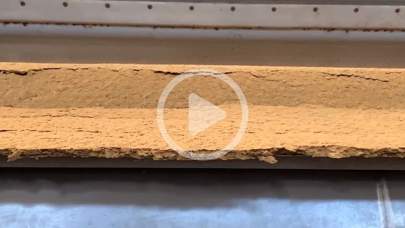 擠漿機(jī)出漿視頻